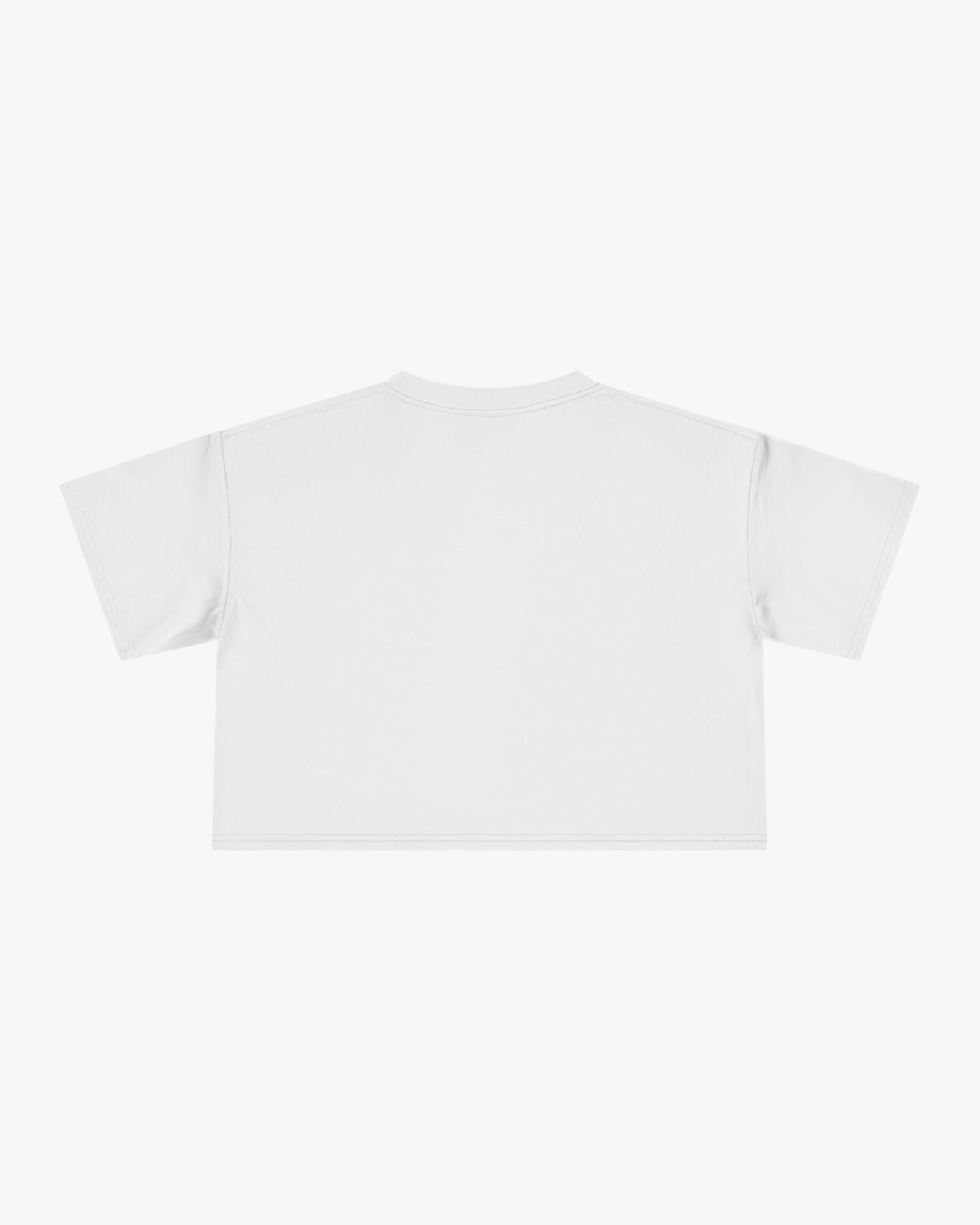 Plain white t-shirt on a light gray background